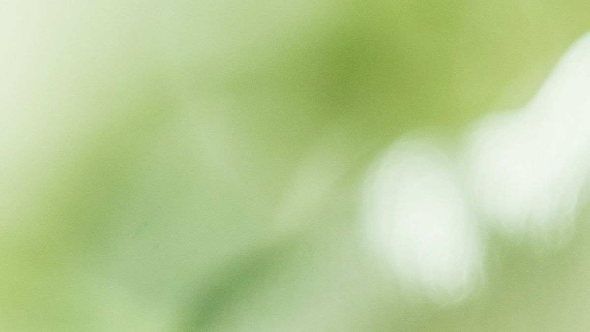 KORA Organics: Shop Best Sellers From $16 - product image