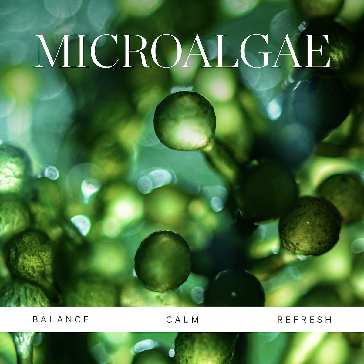 Active Algae Mist, Cleanser & Moisturizer | KORA Organics