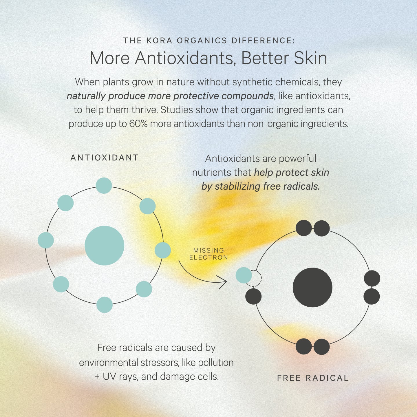 Purchase KORA Organics' Certified Organic Discovery Sample Set | KORA