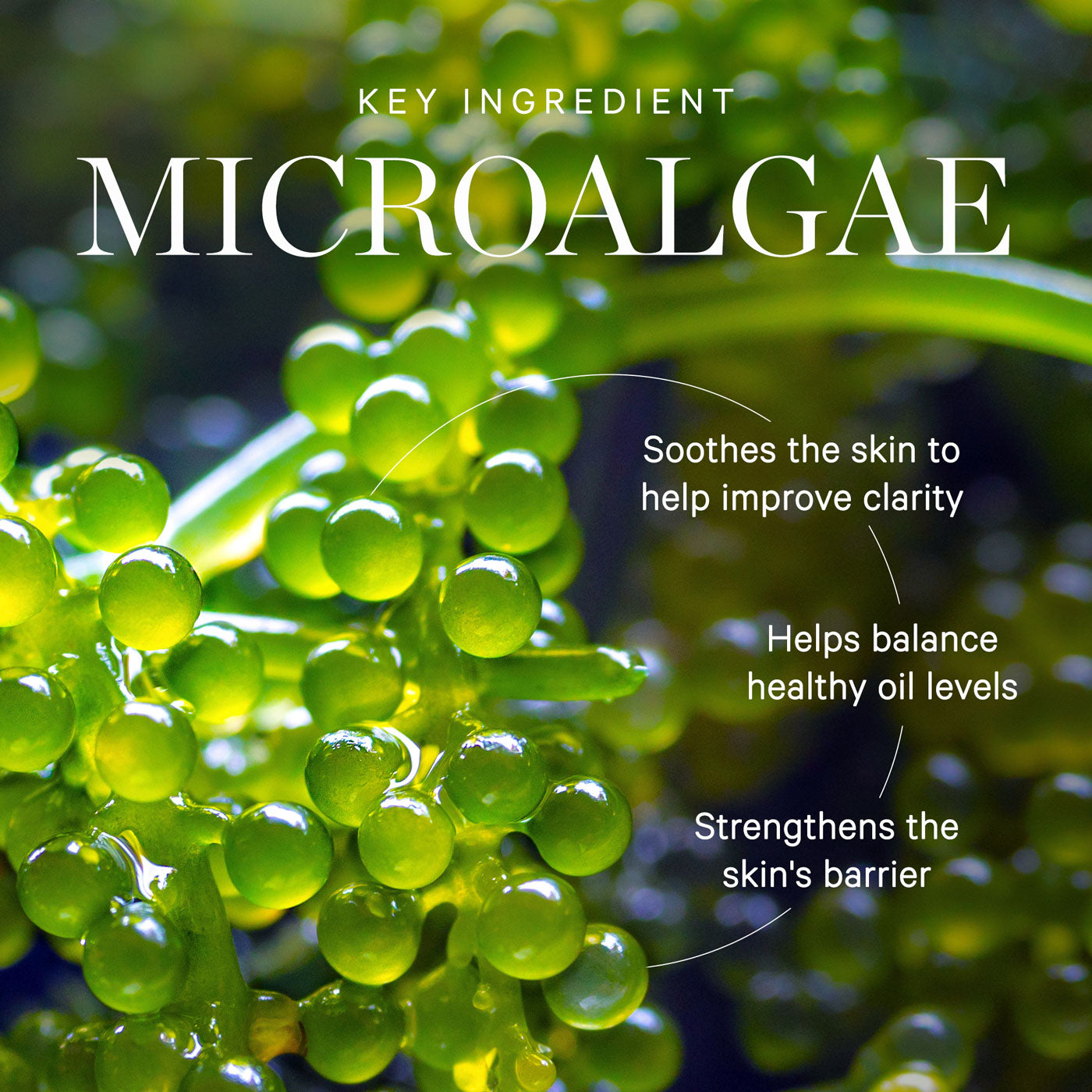 Buy Hydration Mist | Minty Mineral Hydration Spray | KORA