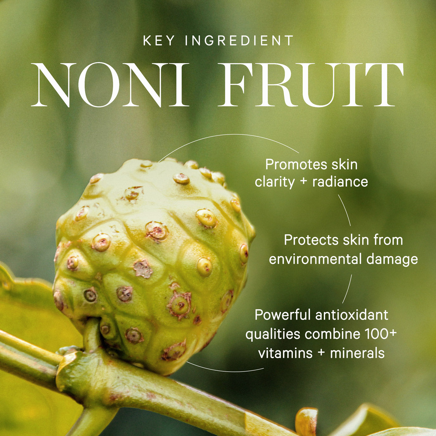 Noni Night AHA Resurfacing Serum | KORA Organics